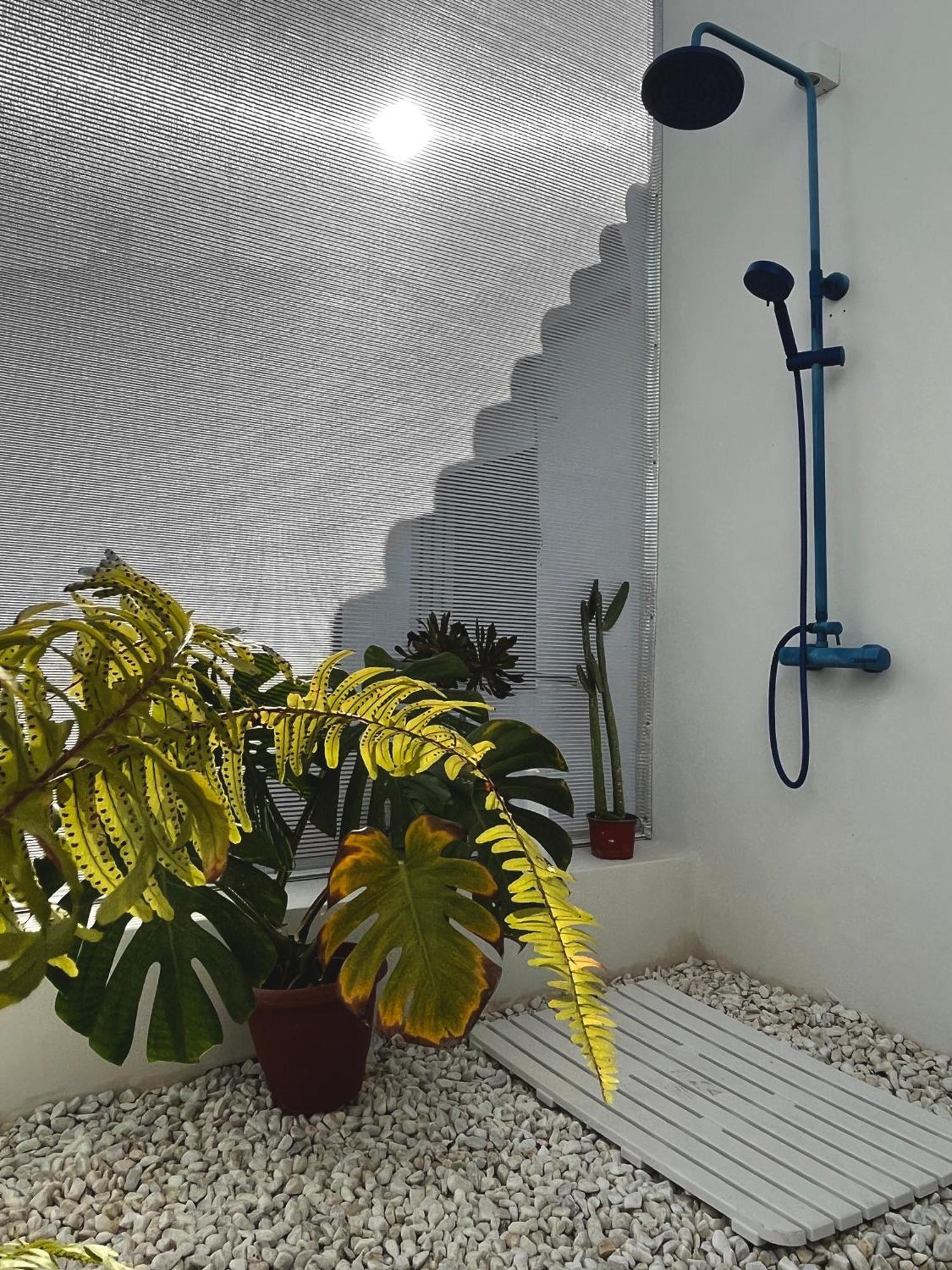 Design & Art, Patio With Orange Tree, Near Seville Carrion de Los Cespedes Luaran gambar